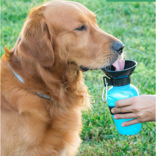 Reisewasserflasche für Hunde
